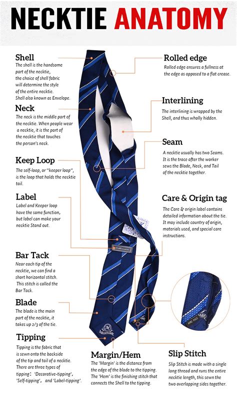 The Necktie Structure Anatomy - Industry news - News - Shengzhou Yili ...