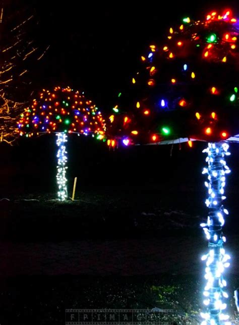 Enjoy Christmas Lights Holiday Decorations at Saint Andrews, NB, Canada