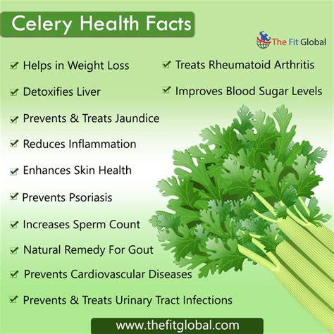 11 Powerful Health Benefits of Celery & Nutrition Facts | Celery benefits health, Health facts ...