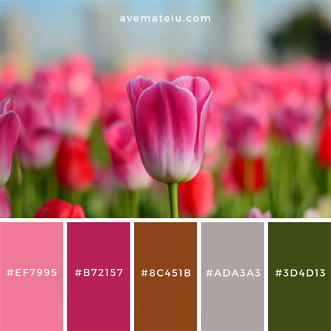 Selective Focus Photography of Pink Petaled Flower Color Palette #182 ...