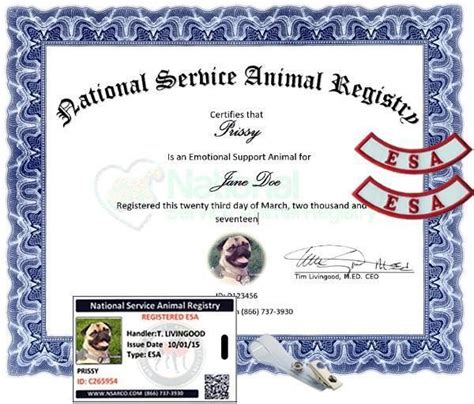 Emotional Support Animal Certificate | ubicaciondepersonas.cdmx.gob.mx