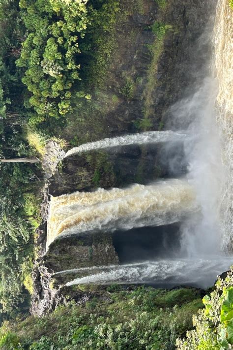 From Hilo: Hawaii Volcanoes National Park Tour