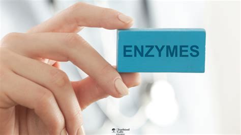 "Inflammation? No thanks! Proteolytic enzymes to the rescue ...