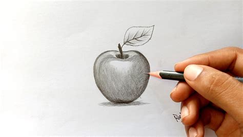 Apple drawing with pencil. Realistic apple drawing and shading. in 2020 ...