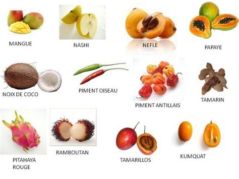 les fruits exotiques pdf - Recherche Google | Les fruits et légumes exotiques | Pinterest ...