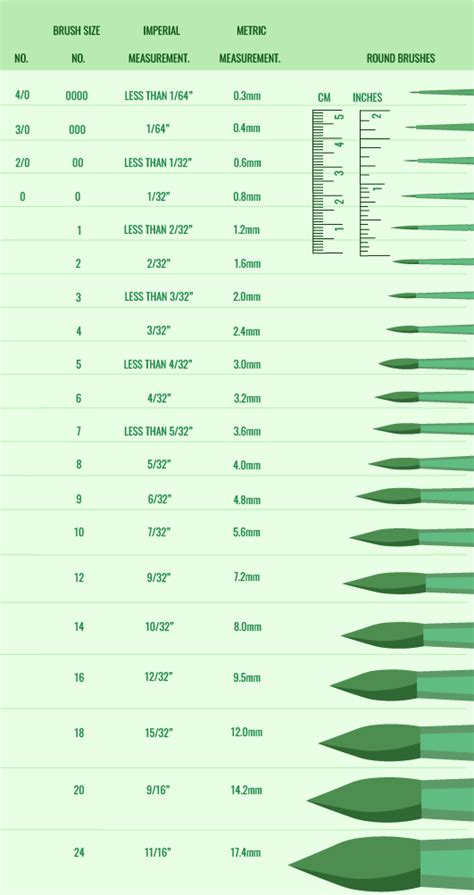 Watercolor Brush Size Chart: Exploring Watercolor Brush Sizes For Every Painting Technique