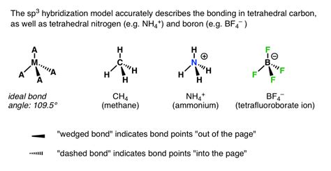 29 Write The Orbital Diagram Of Carbon Before Sp3 Hybridization ...