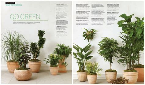 You Grow Girl:Tips to Keep Your Plants Thriving - D Magazine