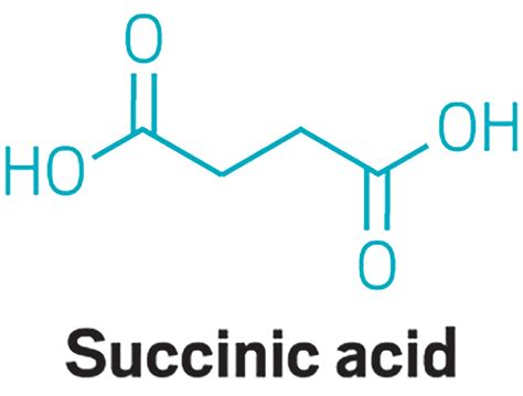 Succinic acid, once a biobased chemical star, is barely being made