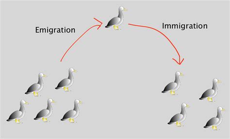 Immigration and Emigration Tutorial | Sophia Learning