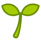 🌱 Seedling Emoji — Meaning, Copy & Paste