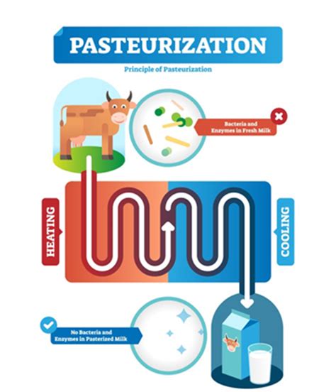 Homogenized milk vs Pasteurised milk: Key differences - Sid's Farm