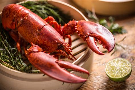 1.25 lbs. Fresh Live Maine Lobster | Lobster Trap: Live Lobster Online