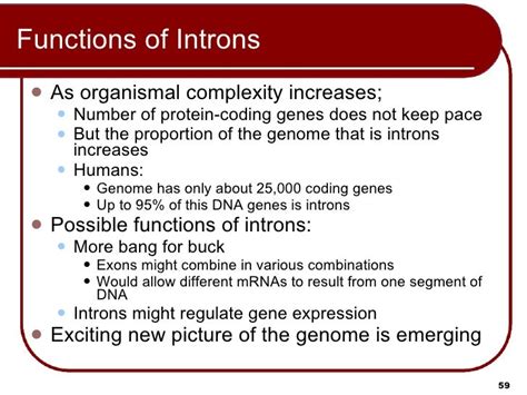 12 Lecture Animation Ppt