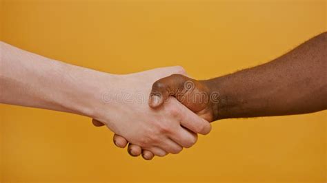 Close Up of a Handshake. Black and White Hand, Interracial Friendship ...