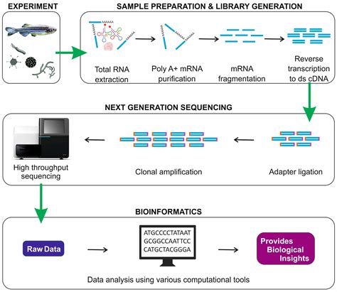 RNA-Seq reveals pathogenic mechanisms of diseases in fish | RNA-Seq Blog