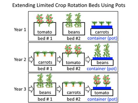 Crop Rotation Systems for Annual Vegetables – Deep Green Permaculture