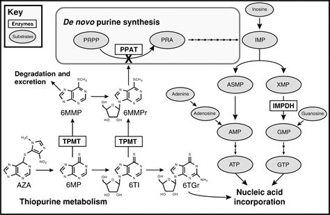 Fig. 1. | Microbiology Society