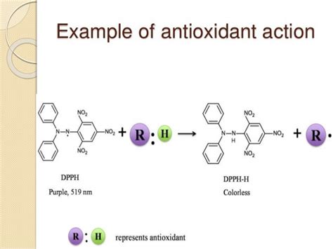 Defence mechanism of antioxidant in Human Body