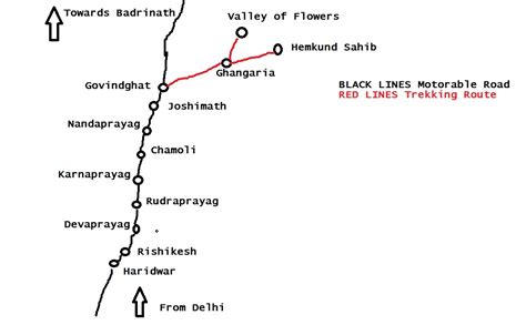 Valley Of Flowers & Hemkund Sahib Travel Guide Under INR 3000 | The Travelling Slacker