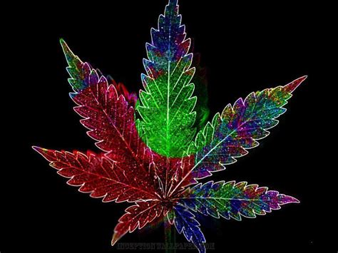 Marijuana Wallpapers - Wallpaper Cave