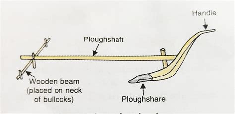 SUBHANKAR'S SCIENCE AND ENGINEERING BLOG: Lecture 1: Class VIII ...