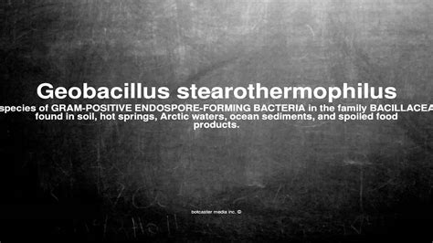 Bacillus Stearothermophilus Gram Stain