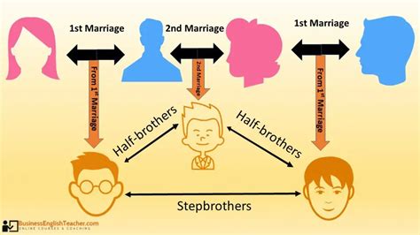 Difference Between Half Brother and Step Brother - Differences Finder