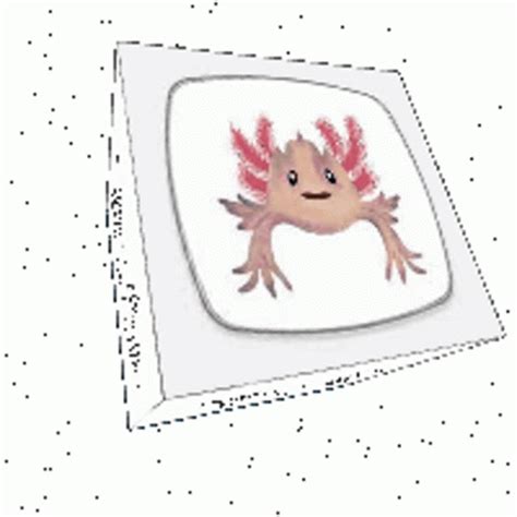 Axolotl Axolotls Sticker - Axolotl Axolotls Cube - Discover & Share GIFs