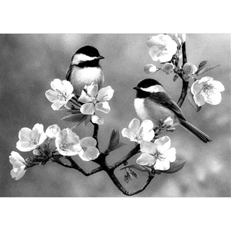 Pin on watercolor birds | Bird drawings, Cool art drawings, Watercolor bird