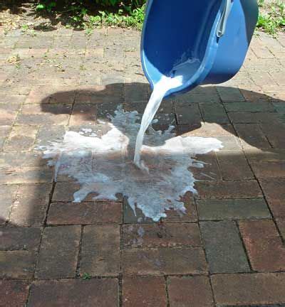 How to Clean Outdoor Brick and Other Pavers