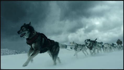 Togo, the Disney sled dog movie – Philip Greenspun’s Weblog