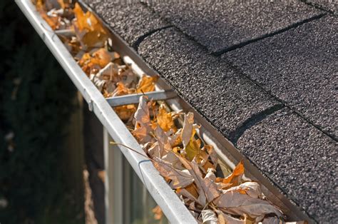 5 Benefits of Large Gutters - Storm Master Gutters