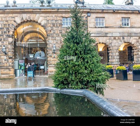 Christmas Tree at Chatsworth House Stock Photo - Alamy