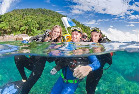 Fitzroy Island Snorkelling: The Ultimate Travellers Guide - Fitzroy Island