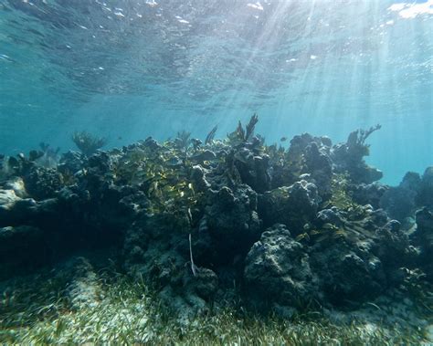 Hol Chan Marine Reserve, Belize. 7Black : r/gopro