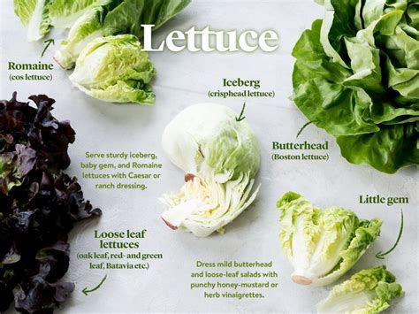 The Ultimate Guide to Using Salad Leaves | Stories | Kitchen Stories ...