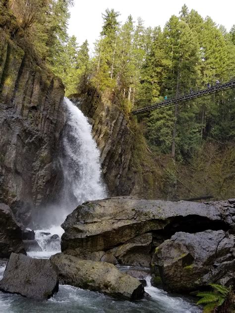 Drift Creek Falls, Oregon : r/PacificNorthwest