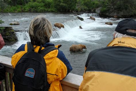 Rust's Bear Viewing | Scenic Flightseeing & Great Bear… | ALASKA.ORG