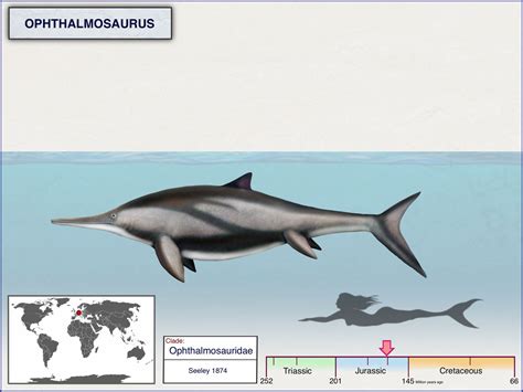 Ophthalmosaurus by cisiopurple on DeviantArt