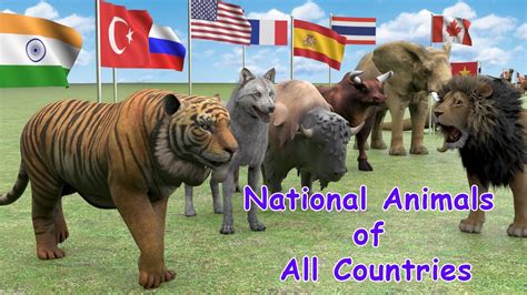 National Animals of Countries | Flags and Countries name With National ...