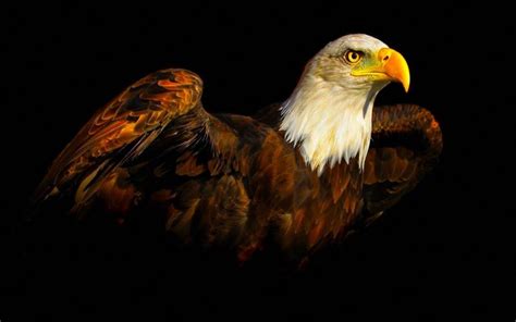 HD Majestic Eagle Wallpaper | Download Free - 115425