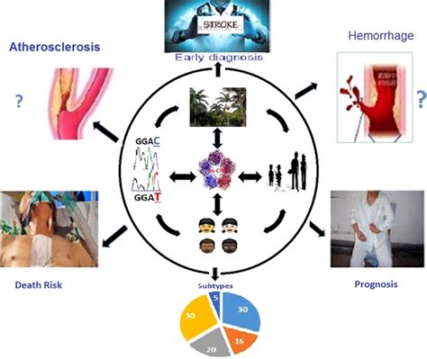 High-sensitivity C-reactive protein in stroke patients – The importance in consideration of ...