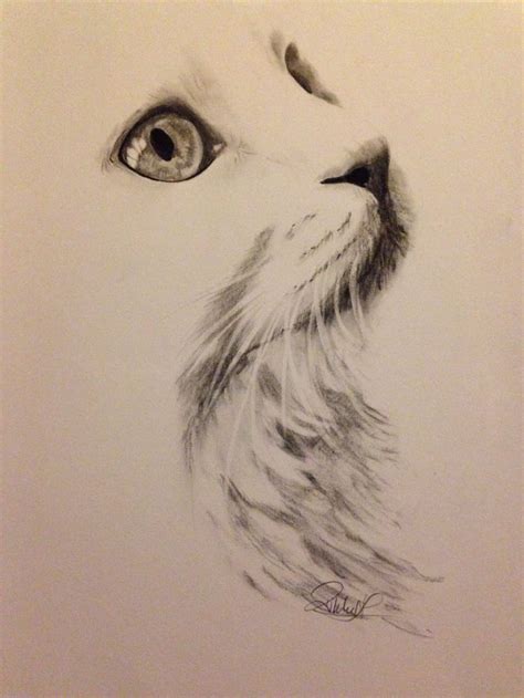 charcoal cat drawings - Google Search | Cat art, Charcoal art, Cat drawing