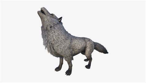 Direwolf - Dire Wolf Ark Png - Free Transparent PNG Download - PNGkey