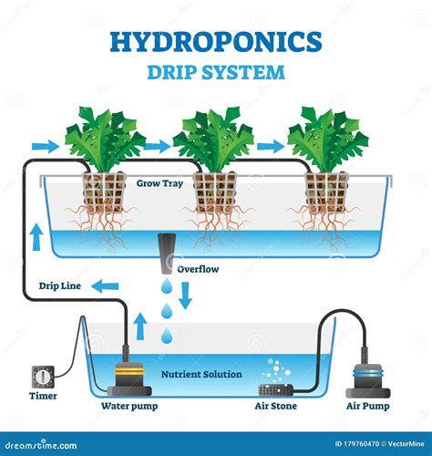 Hydroponics System Poster Vector Illustration | CartoonDealer.com #80352180