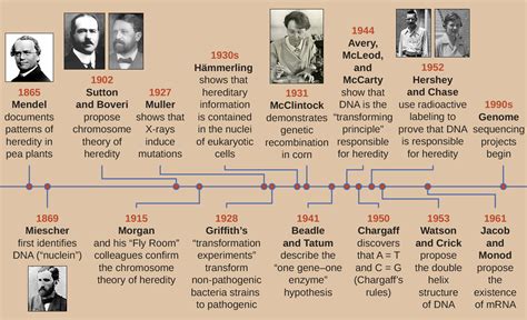 Using Microbiology to Discover the Secrets of Life · Microbiology