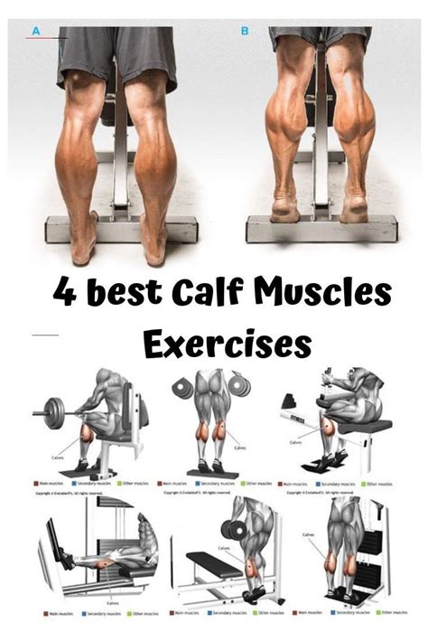 Best 4 key feature to development of your calf muscle exercise 🔥 BUILD ...