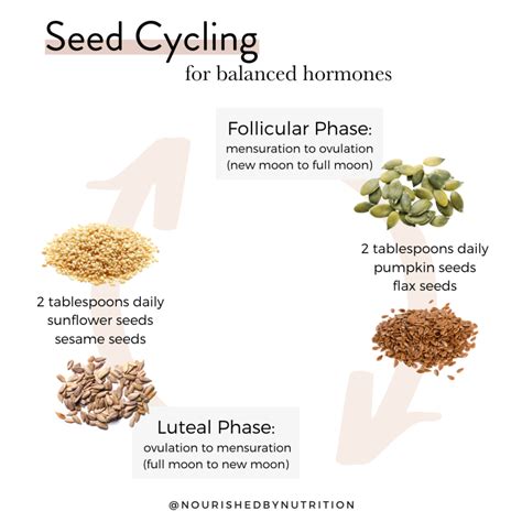 Seed Cycling for Hormone Balance - Nourished By Nutrition