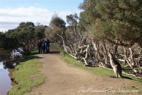 Phillip Island Wildlife Park | The Nomadic Explorers | Australian ...